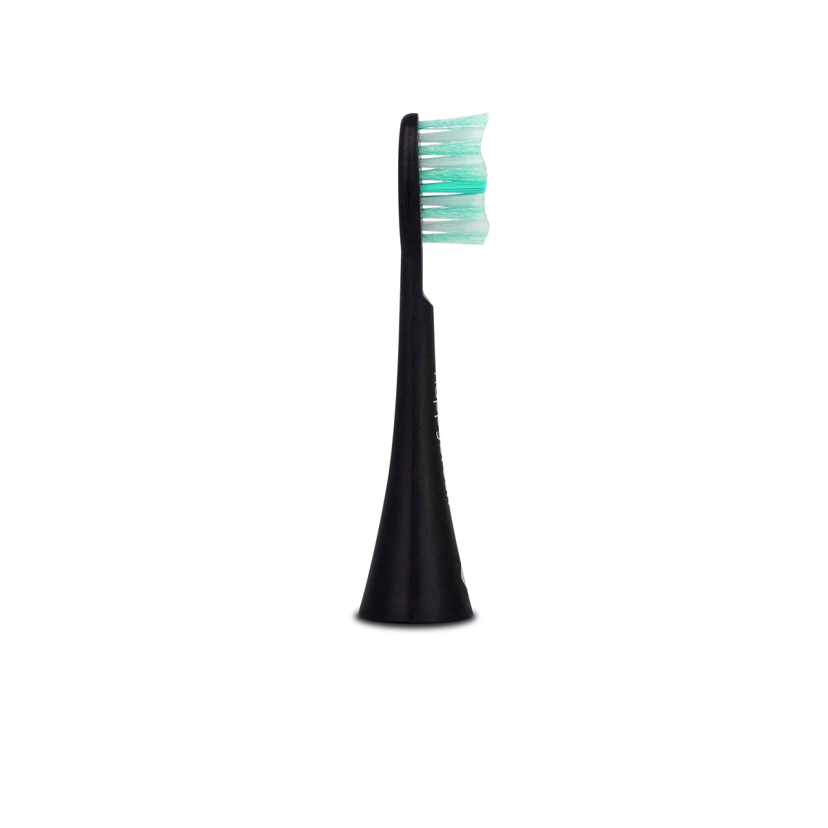 Têtes de brosse Sonique V3+ | Noire 6x