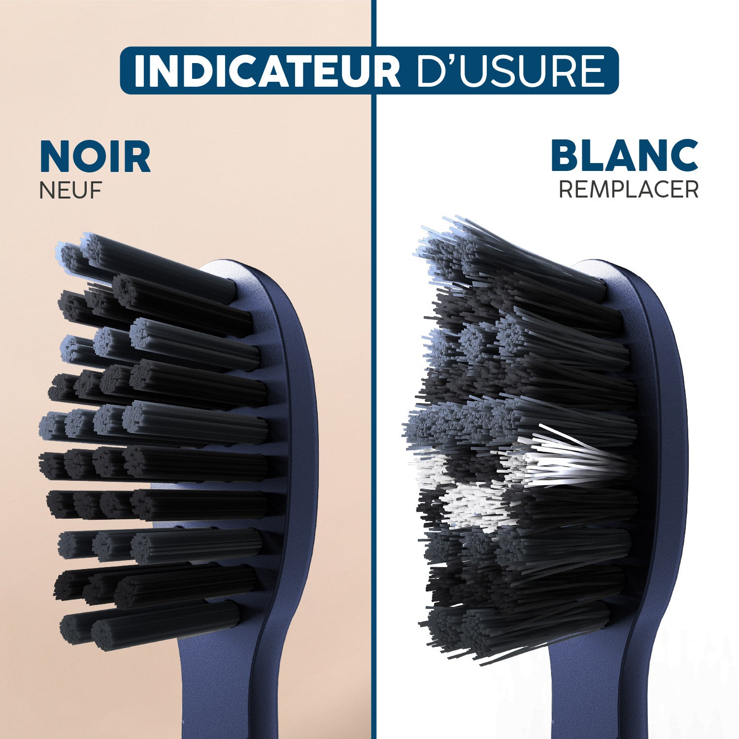 Têtes de brosse Sonique V3+ | Ocean 3x