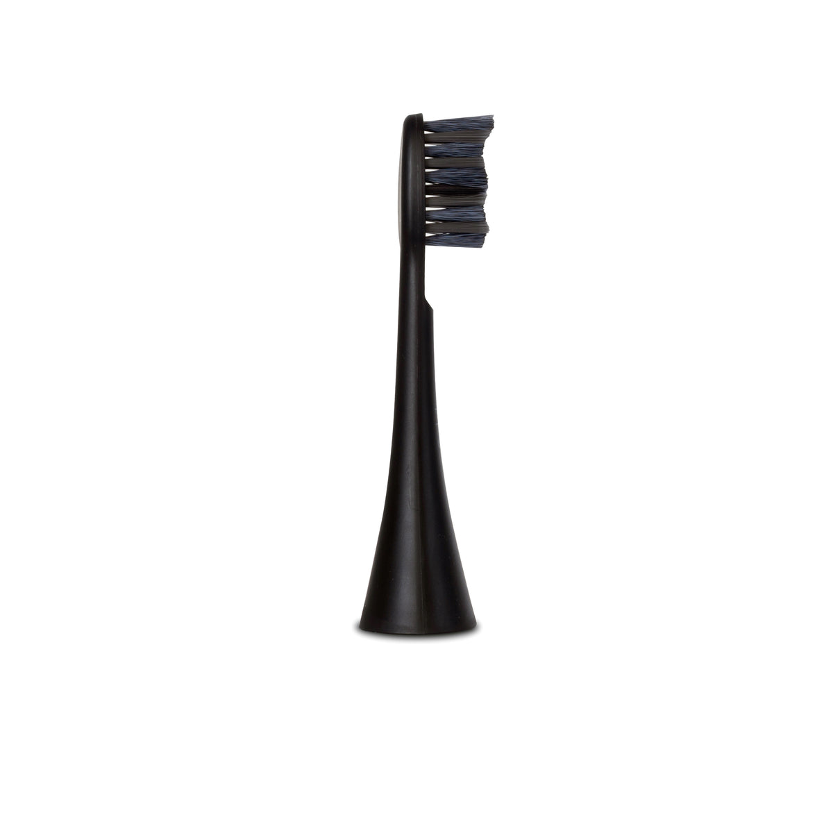 Têtes de brosse Sonique V3+ | Allblack 3x