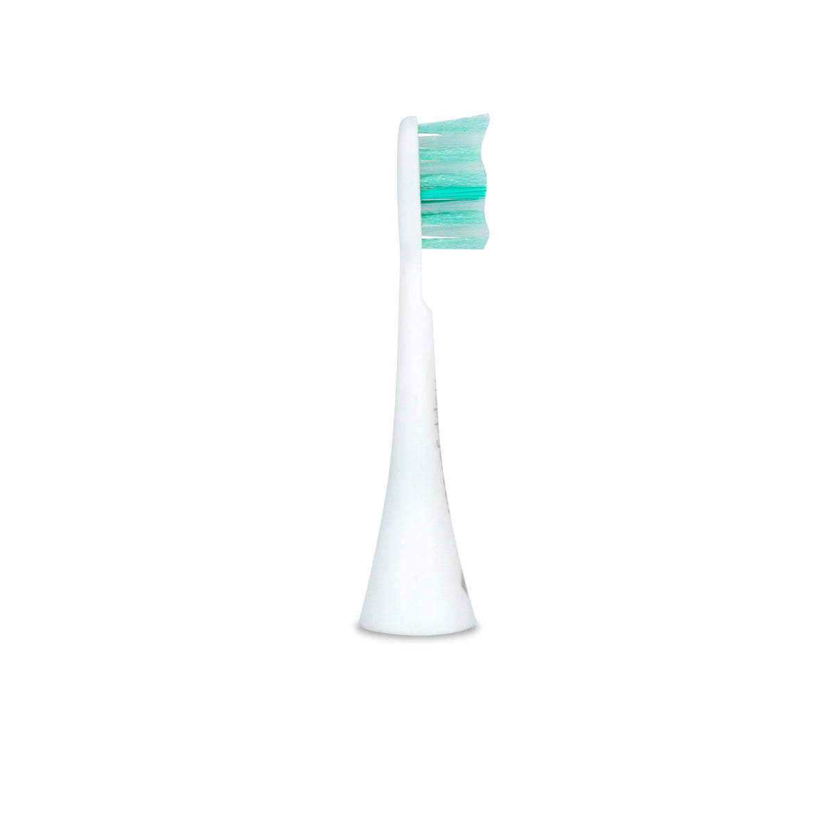 Têtes de brosse Sonique V3+ | Blanc 6x